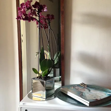 Paris-cosy Studio